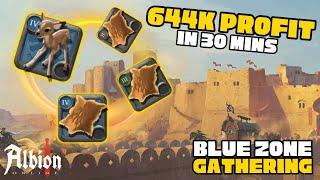 Make Millions of SIlver in Blue Zone! | Blue Zone Gathering | Using Avalonian Tool! | Albion Online