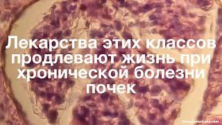 Лекарства этих классов продлевают жизнь при хронической болезни почек