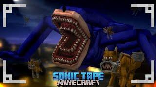 SHIN SONIC TAPE ADD ON V1 MINECRAFT