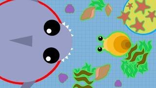 MOPE.IO BIGGEST UPDATE EVER! All New Ocean Food! Giant Update! (Mope.io New Update Seaweed/Seastar)