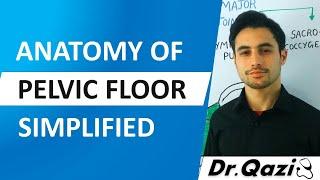 Pelvic Floor | Pelvic diaphragm