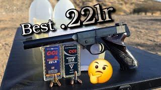 .22lr Ammo Test (CCI Velocitor VS CCI Stinger)