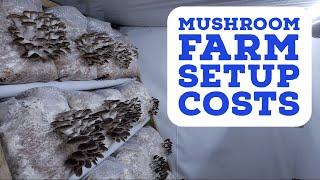 What Does It Really Cost to Setup a Mushroom Farm?