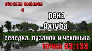 Русская рыбалка 4(рр4) - река Ахтуба. Селедка, пузанок и чехонька.