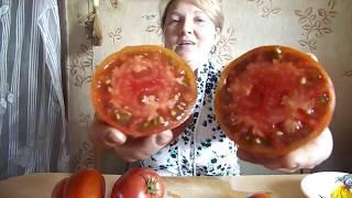 Лучшие сорта томатов в теплице 2017 года #2