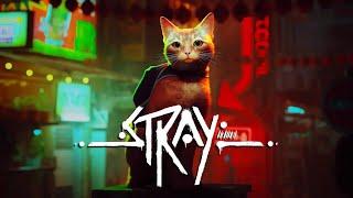 Проходим игру про котика - Stray