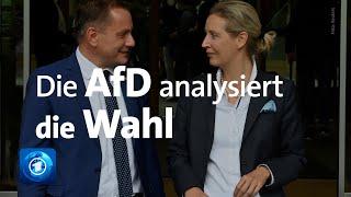 Bundestagswahl 2021: Die AfD blickt auf die Ergebnisse