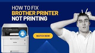 How to Fix Brother Printer Not Printing Issue? | Printer Tales