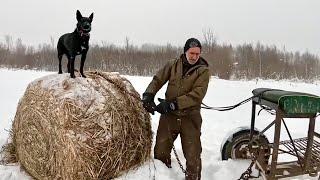 There's always something different on the farm! ... snow,  Snow, SNOW!  #775