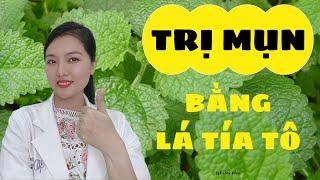 Trị mụn bằng lá tía tô hiệu quả | Trần Mỹ Hiền