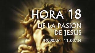 18 de 24 I Horas de la Pasión de Jesús, Luisa Piccarreta, Divina Voluntad.