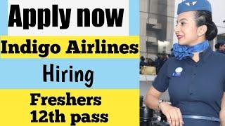 INDIGO AIRLINES CABIN CREW VACANCY FOR FRESHER 12TH PASS 2021 / By - MANSI YADAV