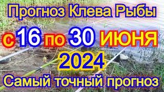 Календарь рыбака с 16 по 30 июня 2024 Прогноз клева рыбы Лунный Календарь рыбака 2024!