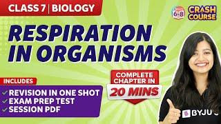 Respiration in organisms Class 7 Full chapter under 20 mins | BYJU'S