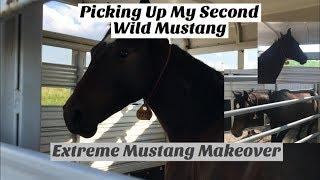 Picking Up My Second Wild Mustang | Extreme Mustang Makeover 2019