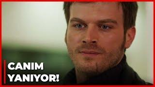 Kuzey, Cemre'nin Hasta Olmasına Dayanmıyor! - Kuzey Güney 68. Bölüm