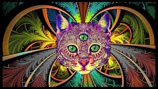Best Rave/Party Songs Mix #2: PSY TRANCE, MINIMAL & HEAVY BASS (songs in description)