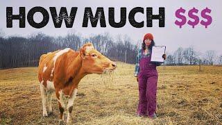 Will a Milk Cow SAVE You Money? The Surprising Truth