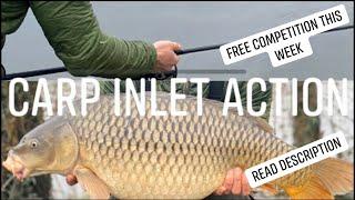 2020-Broadlands carp fishing lake Hampshire winter Spring campaign Vlog Ep-9