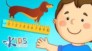 Measuring Length: Centimeters, Inches, Feet and Yards |  Math for 2nd Grade | Kids Academy