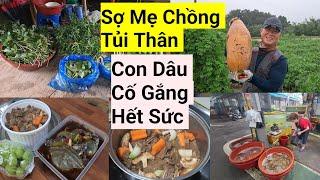 822# Sợ Mẹ Chồng Tủi Thân, Con Dâu Việt Cố gắng Hết Sức, Hái Đầy Một Xe Rau Cho Mẹ