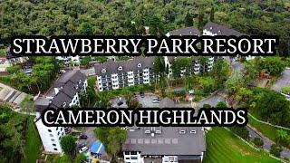 STRAWBERRY PARK RESORT CAMERON HIGHLANDS