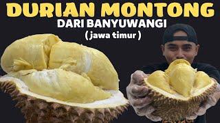 DURIAN SI MONTOK ⁉️ DARI BANYUWANGI , WONOSOBO DAN SUMATRA BARAT #durian #durianmontong #masduren