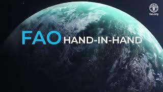 Introducing FAO Hand-in-Hand Geospatial Platform: To Build a Better Future For All