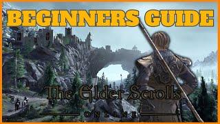 Beginner’s Guide to Elder Scrolls Online (ESO) for 2025