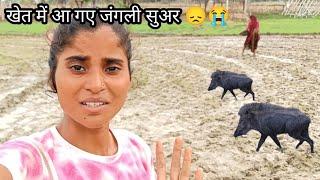 Humari pori mehnat barbad ho gyi||Laxmi Patel #viral #vlog #viralvideo