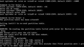 Disk partitions in Linux