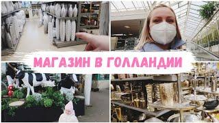 VLOG: Из ГЕРМАНИИ в Голландию  Ассортимент в магазине OOSTERIK  Чего там только нет!!!!