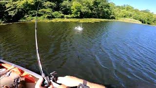 Bassin' a New Lake: Any Good Fish?