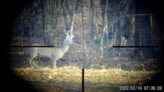 Pard nv007+MEOPTA OPTIKA 6 3-18x56 - Roebuck 100m