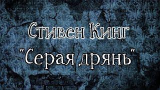 СТИВЕН КИНГ - Серая Дрянь (в озвучке negative.sense, арт simple_Julia)