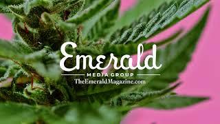 Emerald Media Group