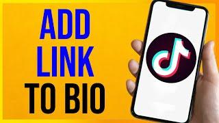 How to Add Link to TikTok Bio 2024 (EASY)