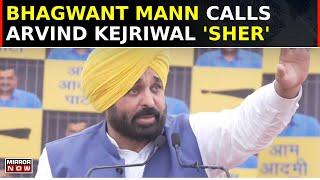 Delhi CM On Bail | Listen To Bhagwant Mann's Fiery Address On Kejriwal's Bail, Calls Him 'Sher'