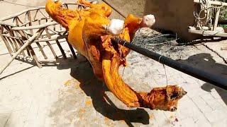 Cooking a whole camel - a popular food in Saudi Arabia