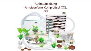 Aufbauanleitung Ameisenkomplettset Ameisenfarm S9 & XXL & XL