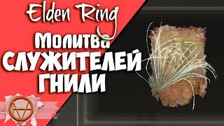 Elden Ring : Где Найти  Молитву Служителей Гнили ?! | Гайд 