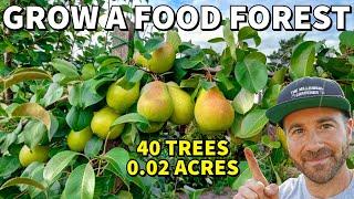 40 FRUIT TREES On 0.02 ACRES? Turn ANY Size Yard Into A Thriving FOOD FOREST!
