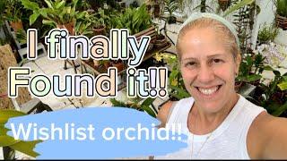 Wishlist orchid finally found!!