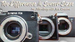 The Differences in Sensor Sizes - Interchangeable Lens Cameras