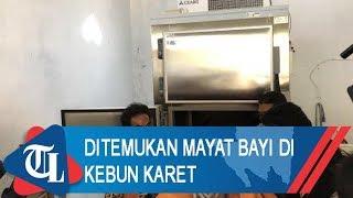 Mayat Bayi Ditemukan Di Kebun Karet | Tribun Lampung News Video