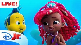  LIVE! Disney Jr.'s Ariel | The Little Mermaid Songs & Shorts ‍️  | @disneyjr