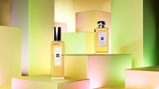 Jo Malone Perfume - 3D animation 2