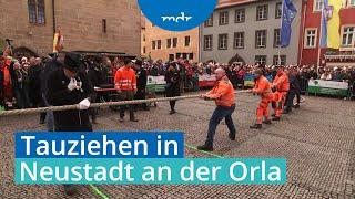 Rosenmontag: Närrisches Tauziehen in Neustadt an der Orla