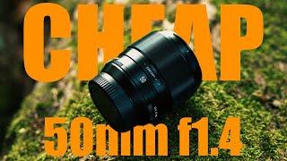 CHEAP Fujifilm Prime Lens? Brightin Star AF50mm f1.4 Review