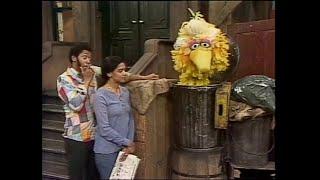 1040 Big Bird Decides To Be Grouchy